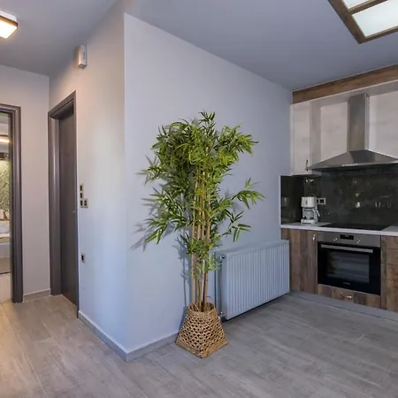 Rena's Luxury With Free Private Parking Chania (Crete)